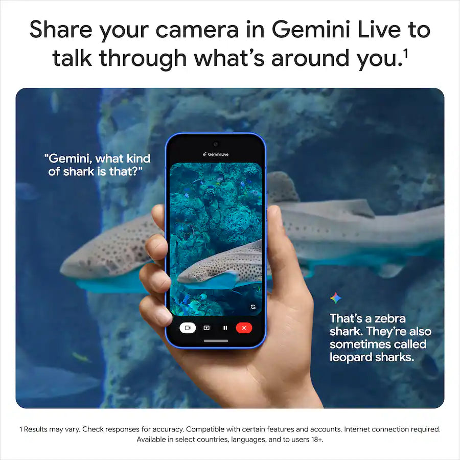 Google Pixel 10 Pro e Pro XL